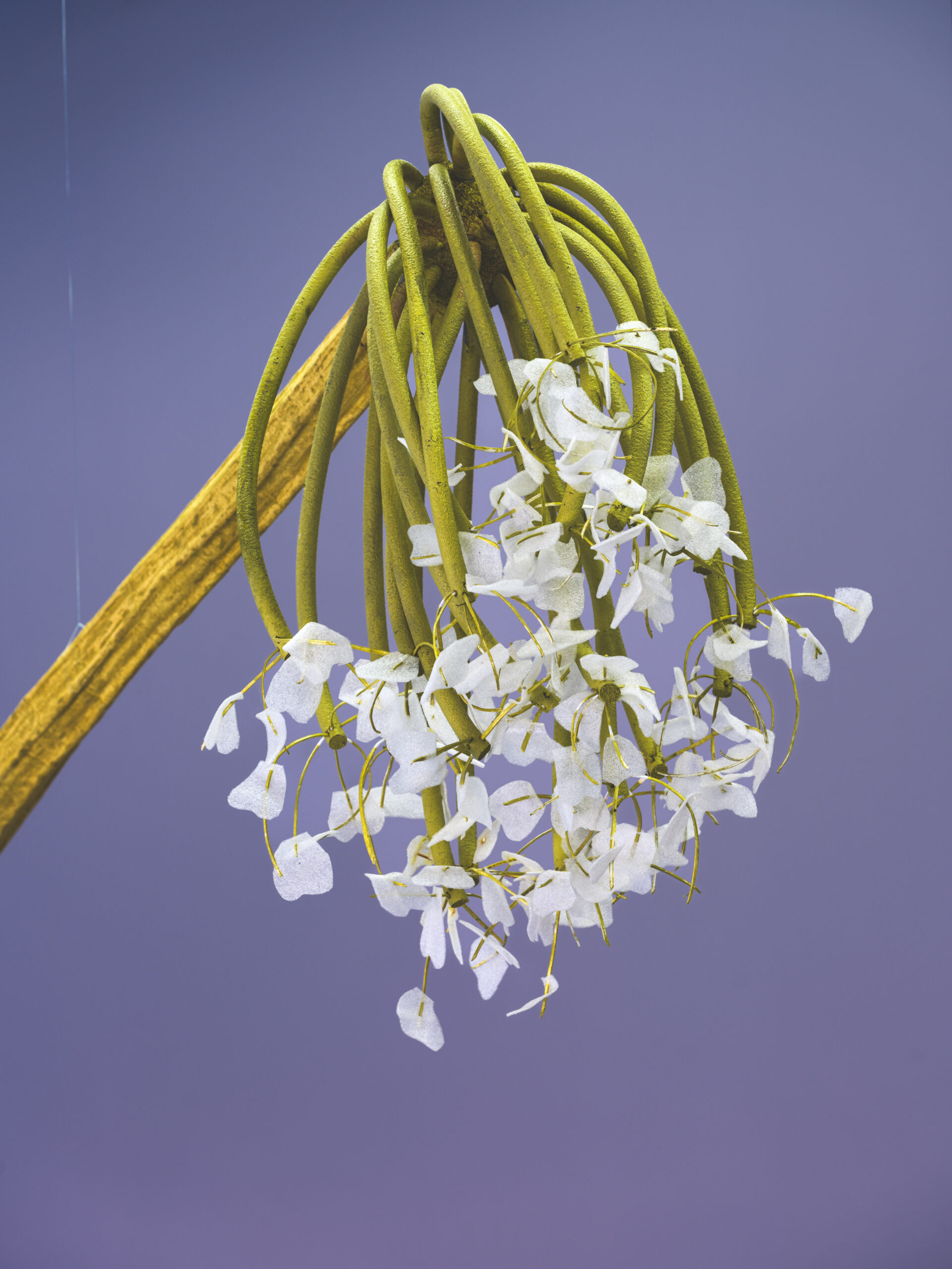 Ingela Ihrman, Jättebjörnlokan, 2015. Foto Bonniers Konsthall (Jean-Baptiste Béranger)